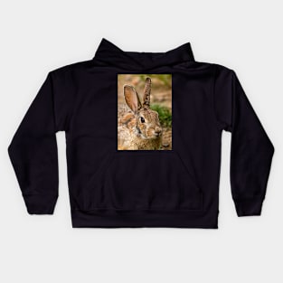 Wild Rabbit Close Up Kids Hoodie